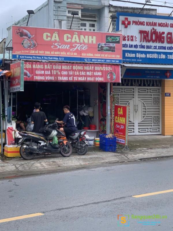 Cần Sang Nhượng Tiệm Cá Cảnh Ở Quận 12