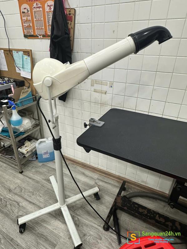 Sang cửa hàng thú nuôi